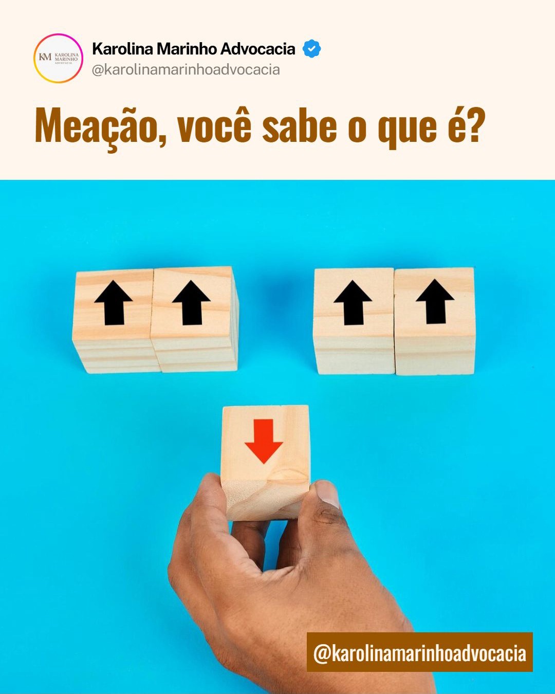 Publicação 3